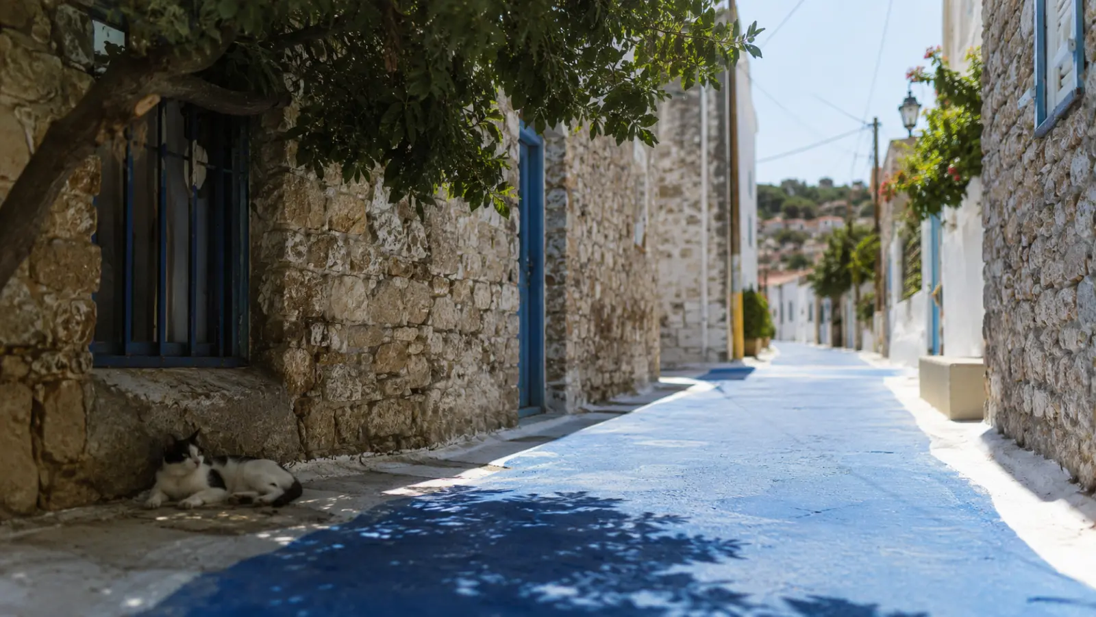 Things to Do in Pythagorion, Samos: 2026 Guide with Costs